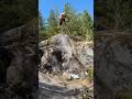 MTB Slab riding ⛰️🇨🇦 #mtb #bike