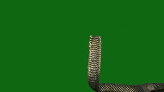 Naagin Season 6 Pratha Movement Half Snake Animations On Green Screen Part 3 By Zqs Edits