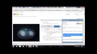 Hacked eBay Listings Auctions PANArt Hang HandPan