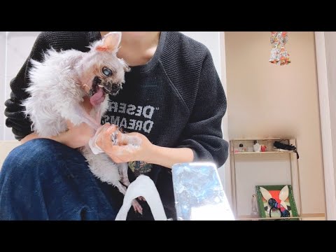 감히 날 두고 여행을 가? (5) thumbnail