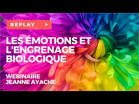 Les émotions et l'engrenage biologique - Webinaire de Jeanne Ayache