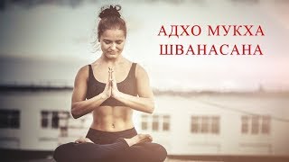 Адхо Мукха Шванасана, руки на кирпичах.