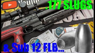 .177 Slugs In A Sub 12, Do They Work?