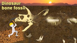 Dinosaur fossils move - Torosaurus and 4 others dinosaurs | Dinosaur movie | dinosaur cartoon | 공룡 뼈