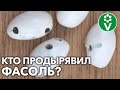 ЖУЧКИ В ФАСОЛИ И ДРУГИХ БОБОВЫХ? Вот кто вредитель и как избавиться!