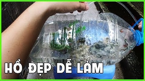 Making Aquarium With Plastic Bottle - Aquarium Vlog