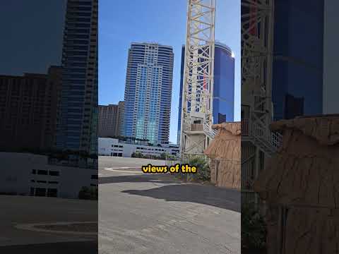 Dragonkoi Media - Winland Casino Spot 2
