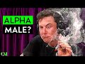 Elon Musk: SOCIAL SKILL & ALPHA Analysis | Scored 1 - 10