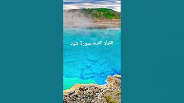 سورة هود#تلاوات_رائعة #المصحف #اكسبلور #حالات_واتس #