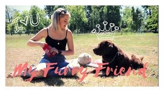 Furry Friend Tag Charp