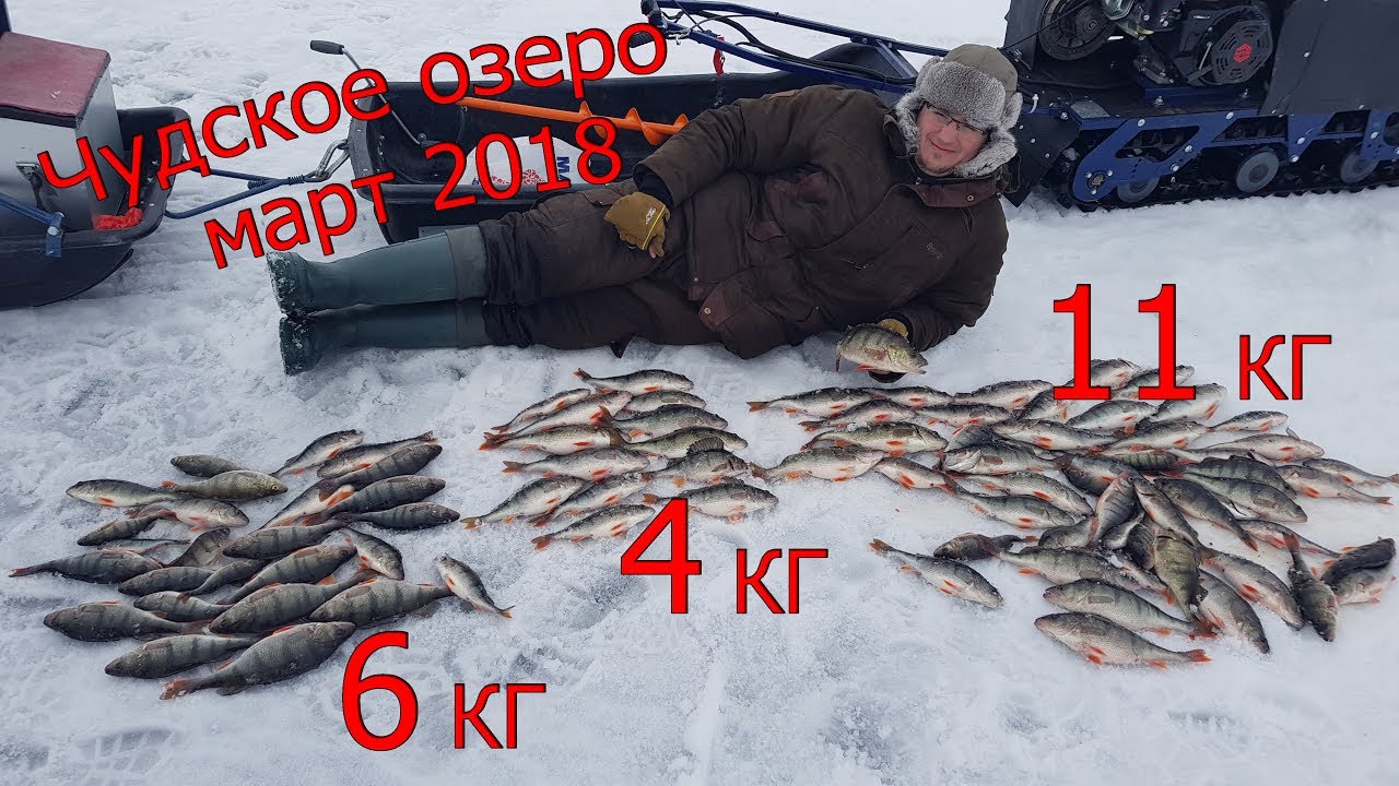 Чудское озеро 2018 | Зимняя рыбалка | Уловистый март и крупный окунь! -  YouTube