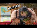 Why Take-Up Woodland Photography? (CHANGED MY LIFE!!)