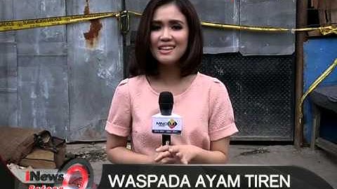 Live Report: Laura Elvina, Waspada Ayam Tiren  -  iNews Petang 15/12