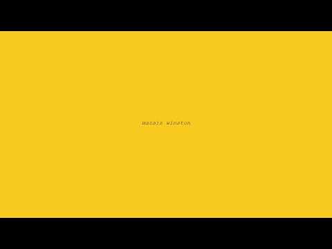 VIŅA - mazais winston (feat.STOBRS)