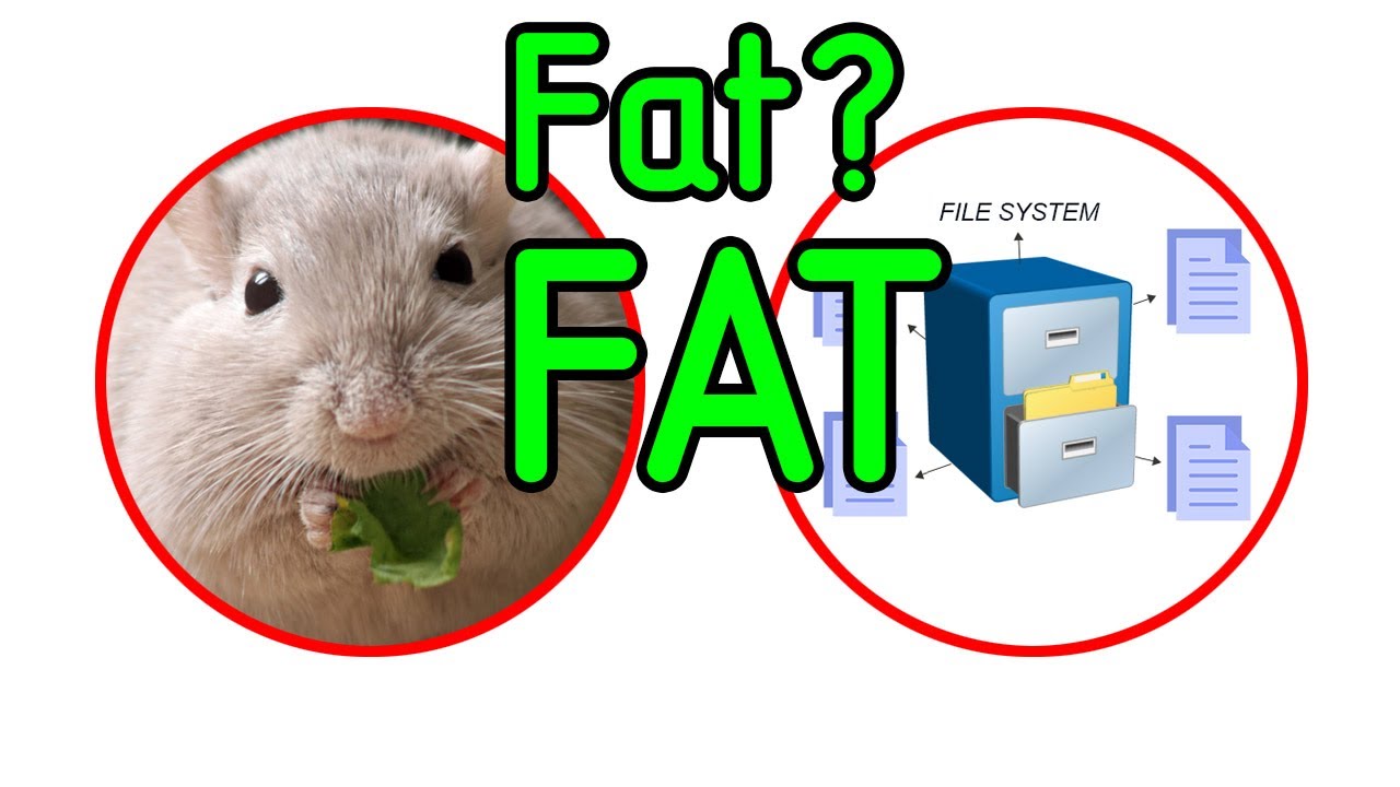 STM32 Файловые системы. Библиотеки для микроконтроллеров STM32. - YouTube