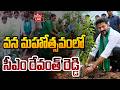 🔴LIVE : CM Revanth Reddy will participate in Launch of Vanamahotsavam | hmtv