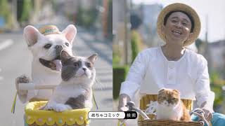 公式 めちゃコミックcm動画 めちゃ犬 ちゃめ 猫 のプロフィール