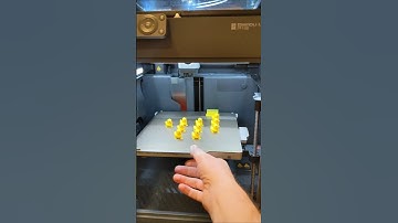 Duck army