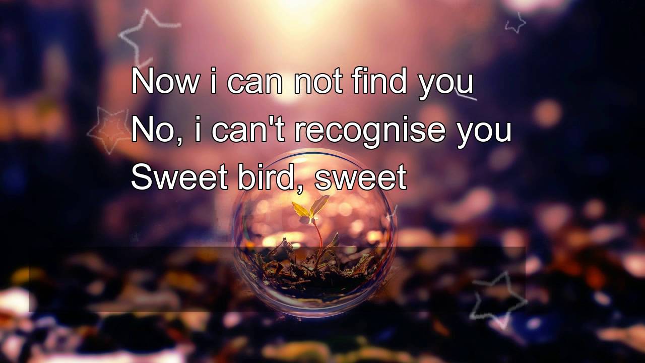 sweet bird young hunting lyricsss YouTube