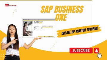 Sap Business One Tutorial for Beginners - Create BP Masters ( First Step)