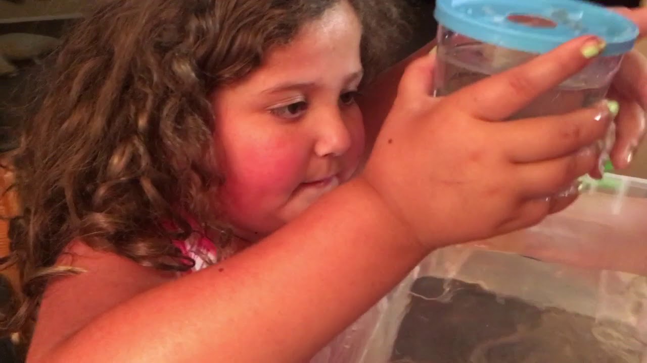 camera iphone 8 plus apk Our New Pet Fish Part 2