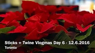 Vlogmas Day 6