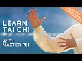 Tai chi for beginners  best instructional for learning tai chi  lesson 1