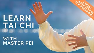 Tai Chi for Beginners | Best Instructional Video for Learning Tai Chi | Lesson 1 screenshot 4