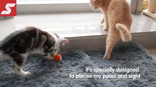 Cheerble Mini WickedBall Interactive Cat Toy (  Smartpaw Online Pet Store ) screenshot 5