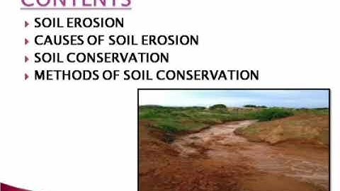 Class IV SCIENCE CHAPTER 13 SOIL PART 2