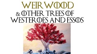 Weirwood and Other Trees of Westeroes and Essos | Game of Thrones Lore