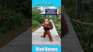 Congressman Jerry Nadler speaks