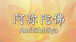 弥陀圣号 Amitābhāya 南无阿弥陀佛 108th