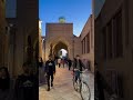 Evening view in Uzbekistan with natural arts #pakistan #india #love #explortheworld #nizwafort