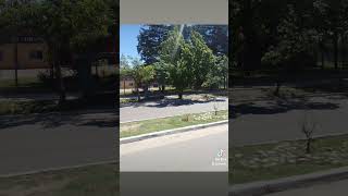 Vista Flores Tunuyan Mendoza Argentina 🌳 Dia 18/10/24 Parte 2