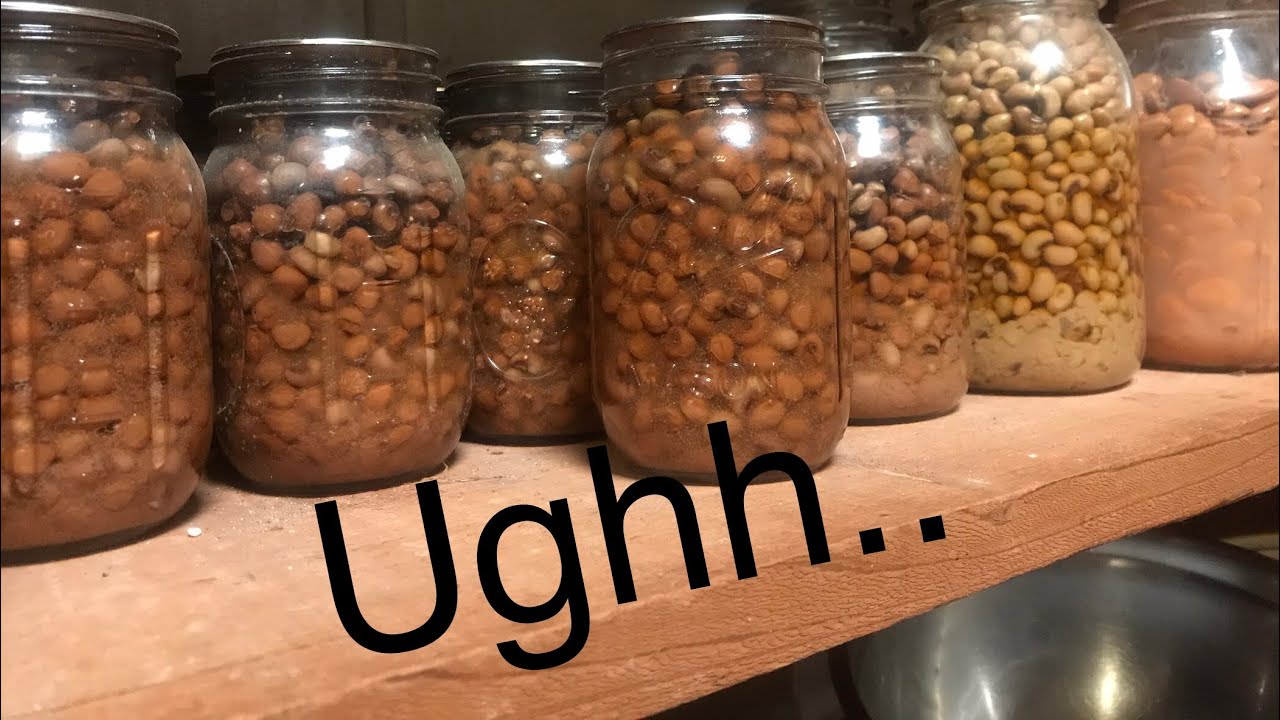 I’m already sick of beans! threeriverschallenge YouTube