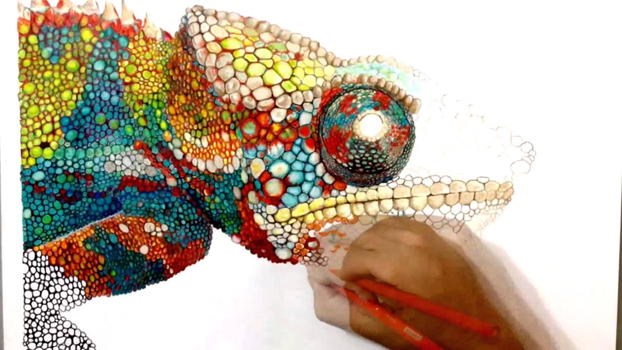 DRAWING A CHAMELEON - YouTube