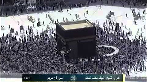 القارئ نايف السالم سورة مريم