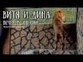 Вечерний променад. ВИТЯ и ДИНА. Life of #lions​