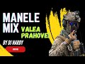 DJ NARDY - MANELE MIX | VALEA PRAHOVEI