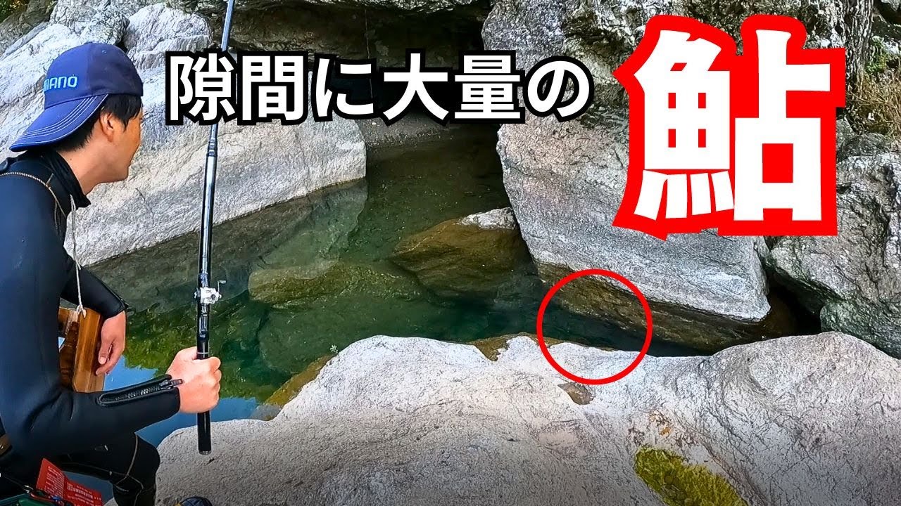 今年最後の鮎釣りへ！オレンジに色づいた落ち鮎を狙う