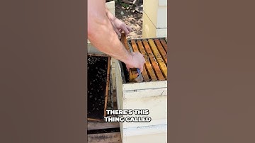 Beehive Secrets: Frame Function, Inspection, and Bee Space Explained! #shorts