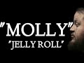 Molly – Jelly Roll (Lyrics) | Emotional Song