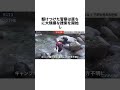 彼女が何を経験したのか想像もしたくない#失踪事件 #未解決事件 #小倉美咲ちゃん