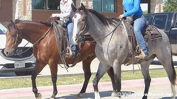 Teles Sumpin and Cole - riding in town! - ValleyViewRanch.net