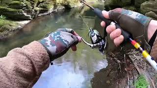 DOĞADA BİR GÜN, DEREDE DOĞAL ALABALIK AVI / natural trout fishing in the creek