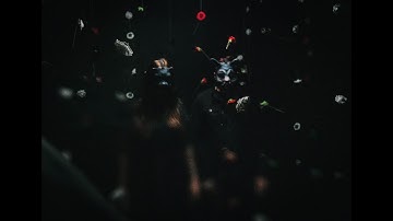 The Bunny The Bear - Aisle (Redux) OFFICIAL VIDEO