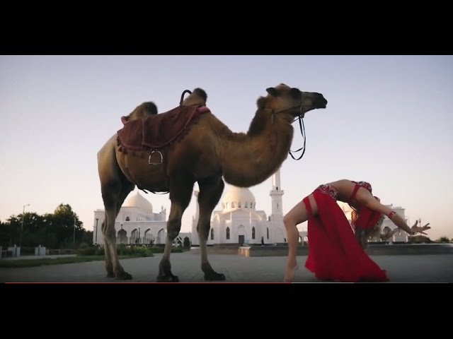 Controvercial video song "Zhanym" controversy -Резеда Ганиуллина   Жаным