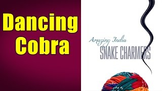 Dancing Cobra Album Snake Charmers