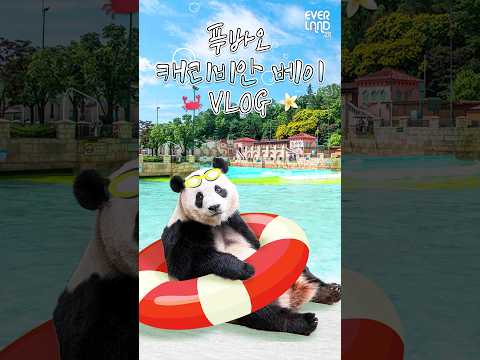 [VLOG] <strong>푸바오의</strong> 캐리비안베이 여행ㅣ쇼핑, 떡볶이먹방, 파도풀 물놀이 #shorts